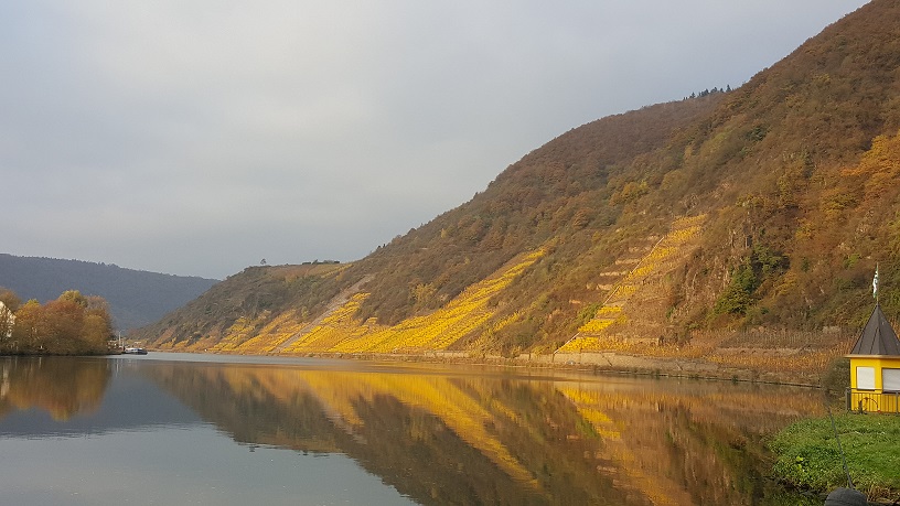 Beilstein