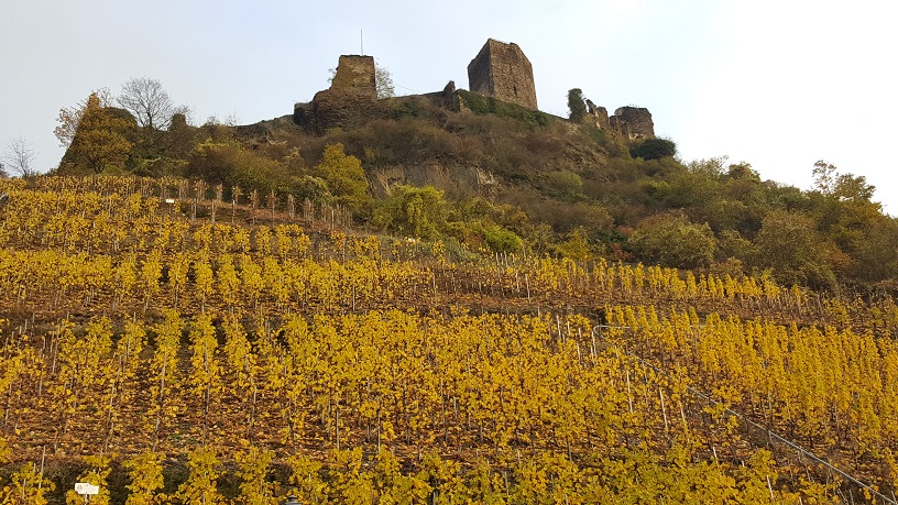 Beilstein